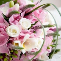 david salter wholesale flowers