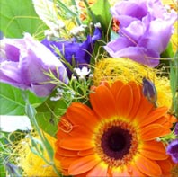 david salter wholesale flowers